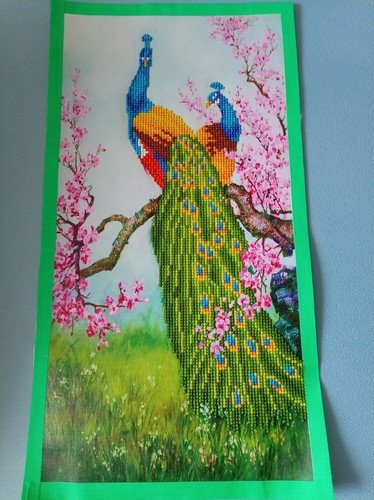 Diamond painting pfau mit - diamond,