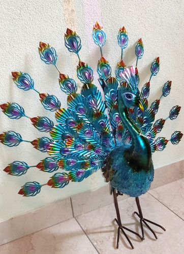 Exner metall pfau - ",