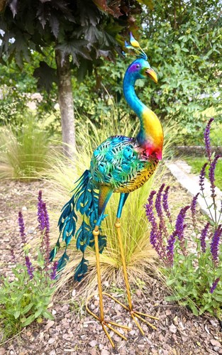 Toller deko pfau - pfau, aus