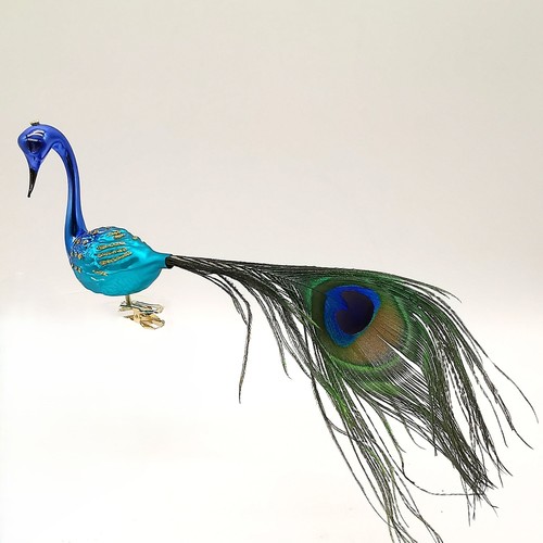 Pfau mit krone blau - mit, türkis