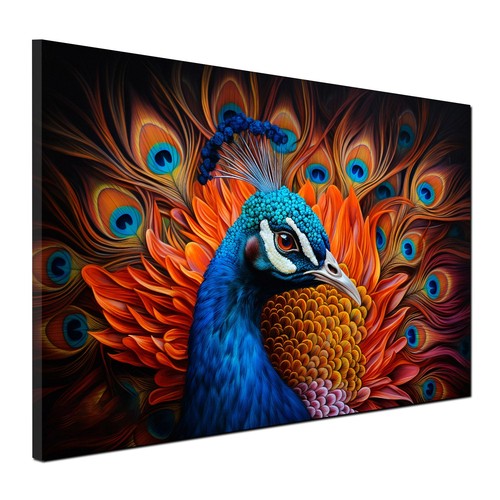 Pfau wandbild leinwandbild - pfau,
