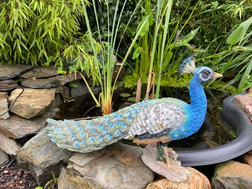 Deko pfau figur vogel - deko,