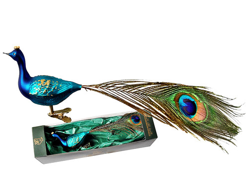 Pfau glas türkis blau - pfau,